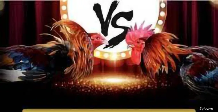 Đá Gà 78Win Nền Tảng Giải Trí Đỉnh Cao Hàng Đầu Châu Á