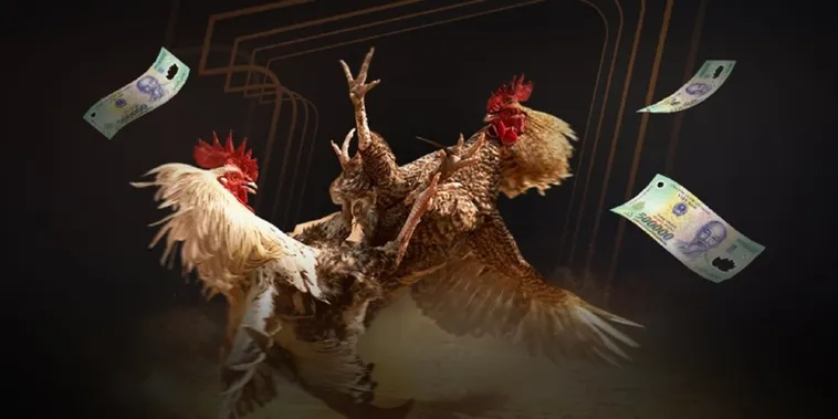 Đá Gà 78Win Nền Tảng Giải Trí Đỉnh Cao Hàng Đầu Châu Á