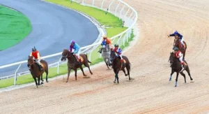 Khám Phá Cá Cược Đua Ngựa 78Win Và Những Chiến Lược Hàng Đầu